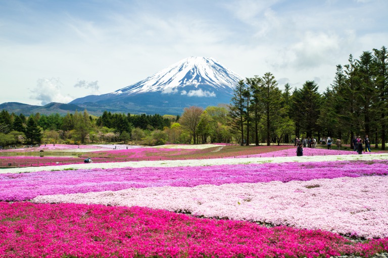 山梨のレンタカー予約